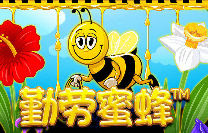 2138acom太阳集团